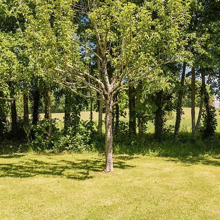 Rustic Chic Country بيت للعطل Thenon