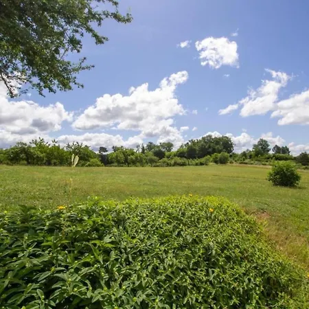 Rustic Chic Country *