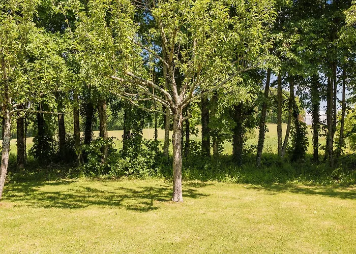 Rustic Chic Country بيت للعطل Thenon