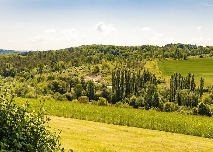 Rustic Chic Country *